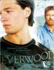 Everwood Saison 3 