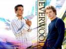 Everwood Wallpapers officiels 