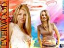 Everwood Wallpapers officiels 