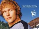Everwood Wallpapers officiels 